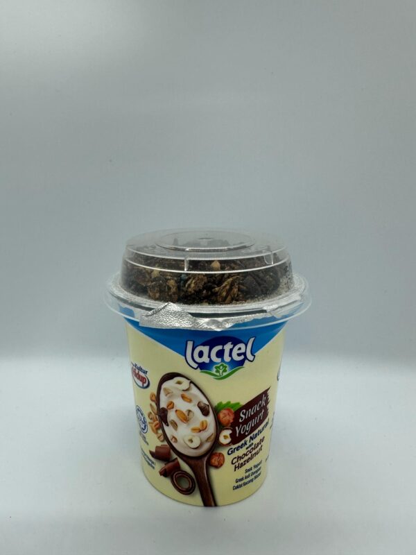 Lactel Snack Yogurt